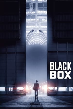 Boxed 2021 Hindi Movie 720p HDRip x264 [890MB] - Movierulz
